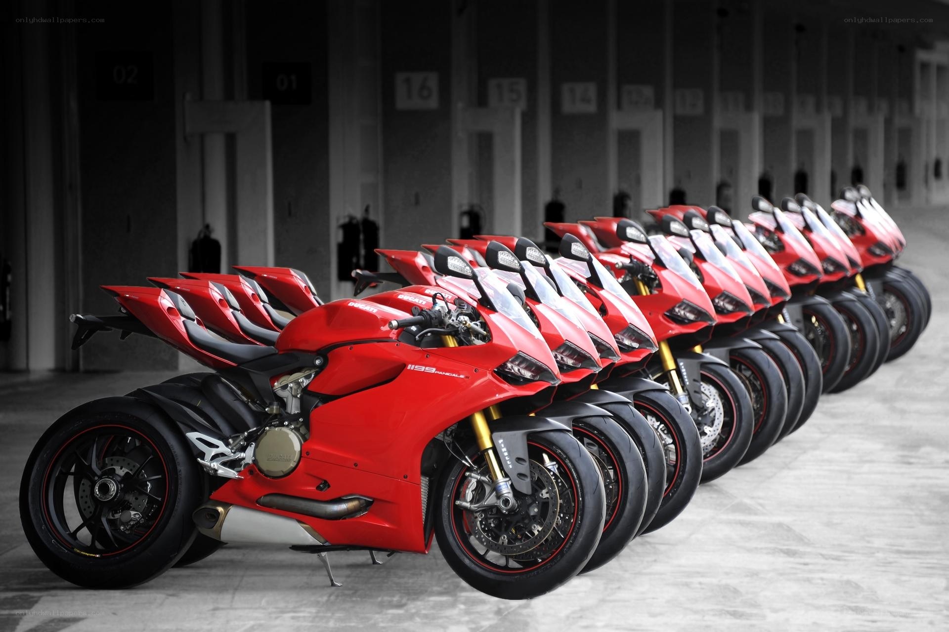 Red Ducati motorcycles in a row