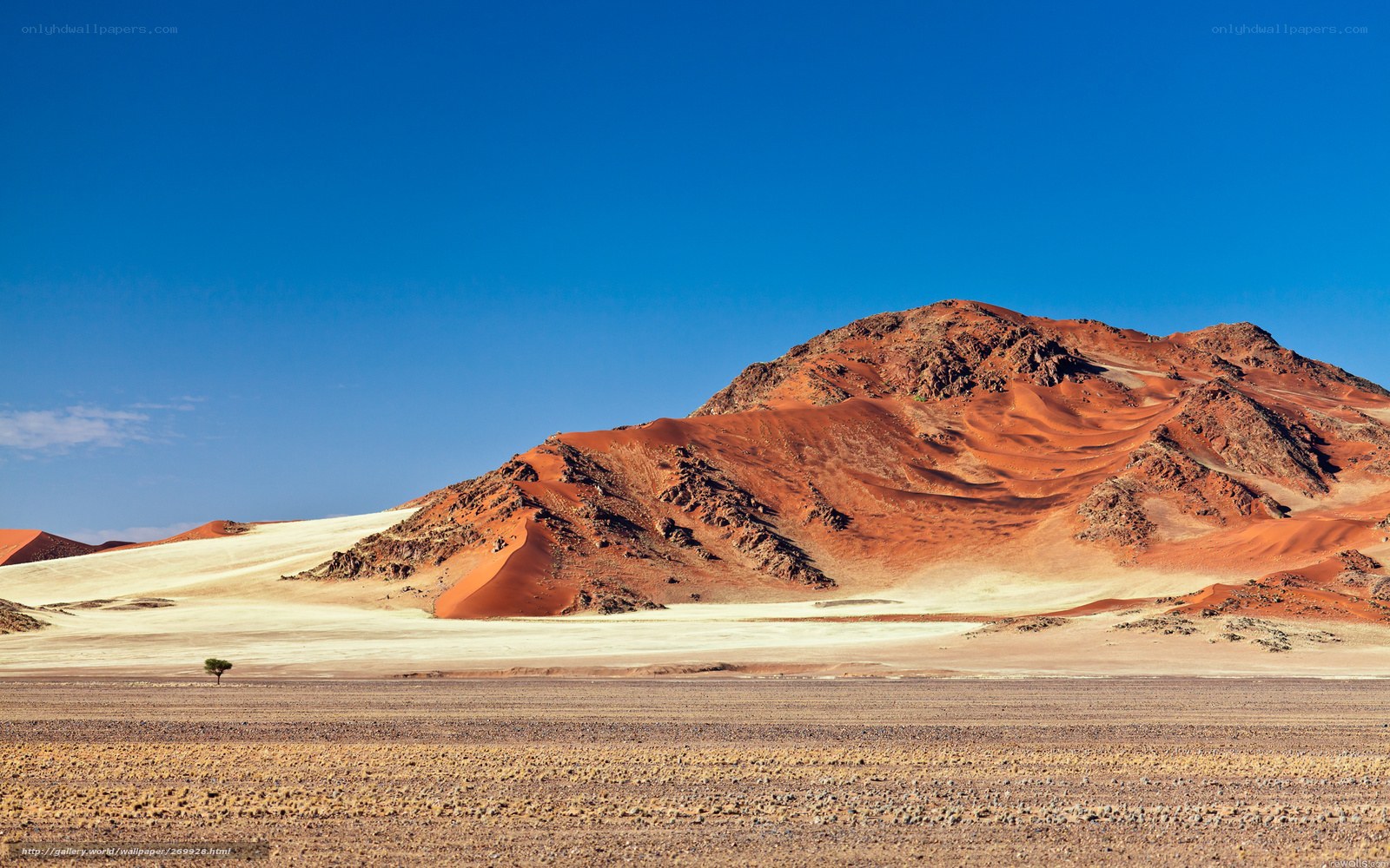 Red dunes in Namib Desert