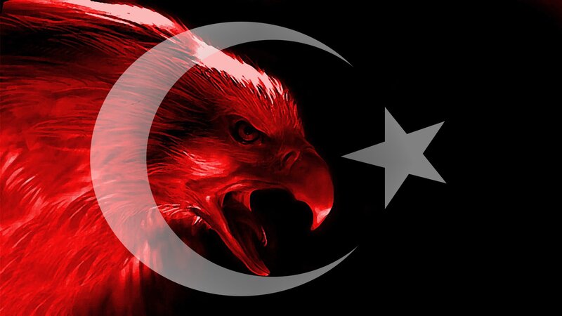 Red Eagle Head