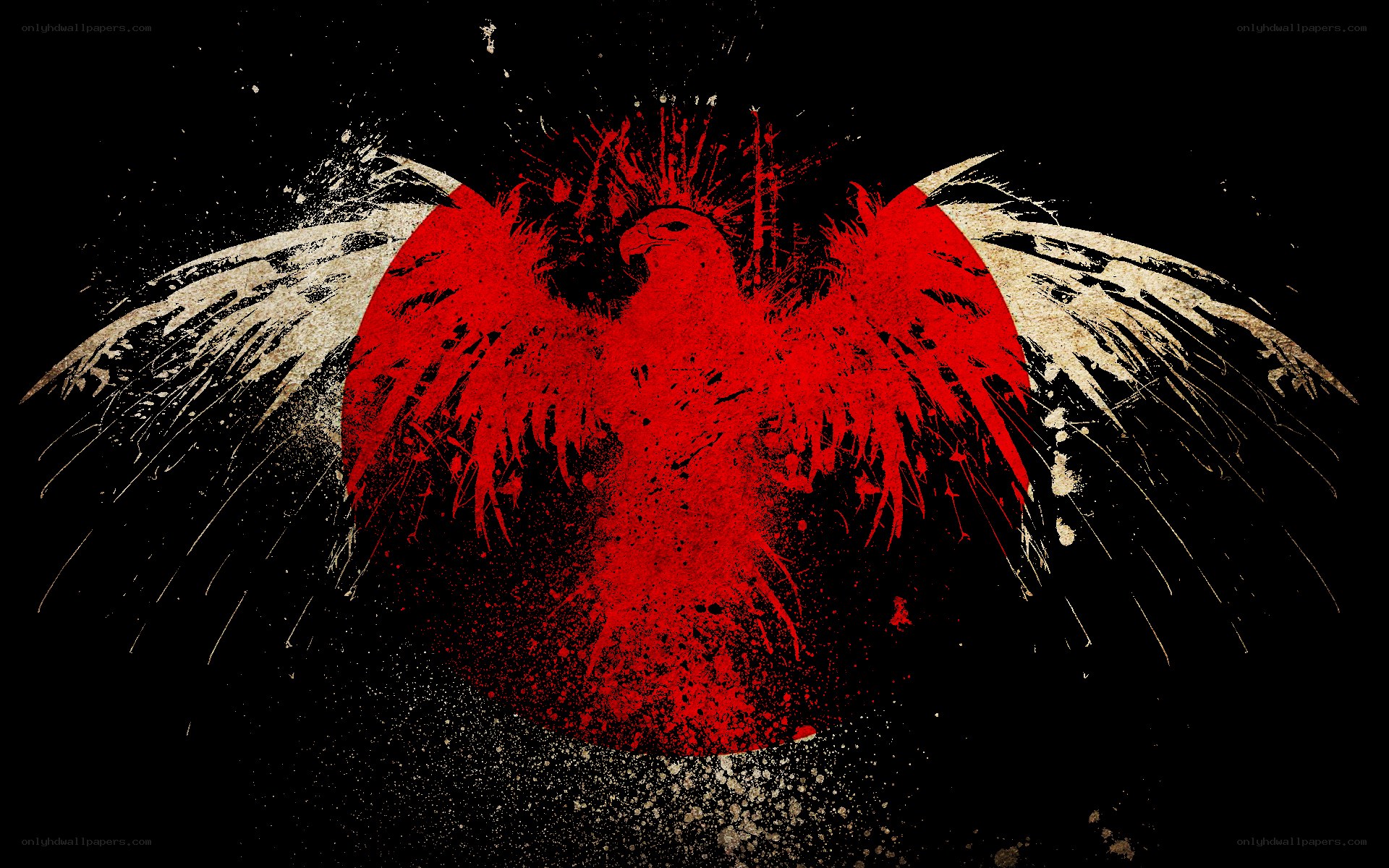 red eagle with wings spread