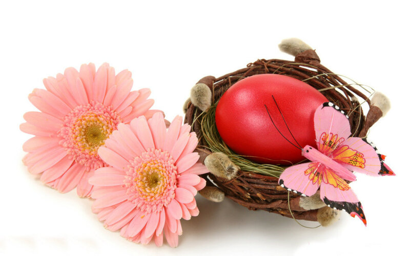 Red Egg in Nest — Pink