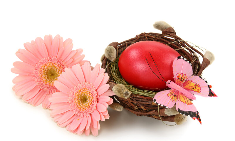 Red Egg in Nest