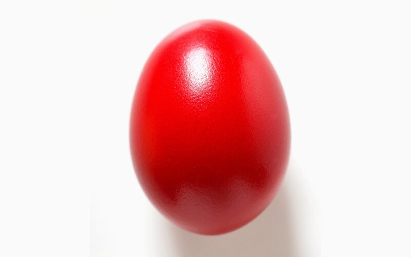 Red egg on white background