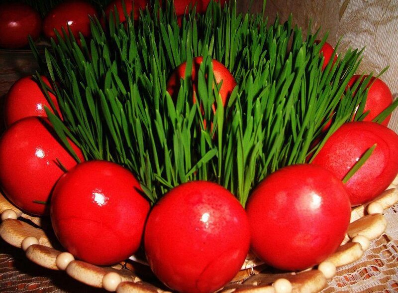 Red Eggs with Wheatgrass