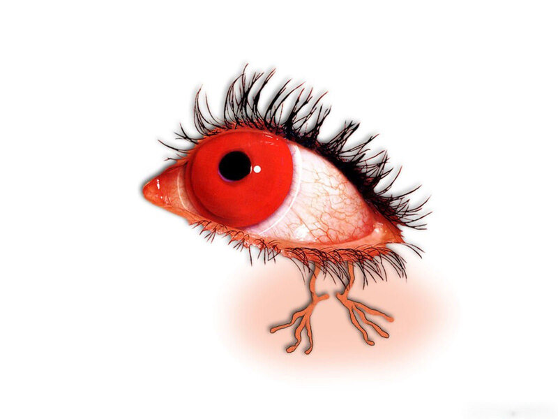 red eye bird creature