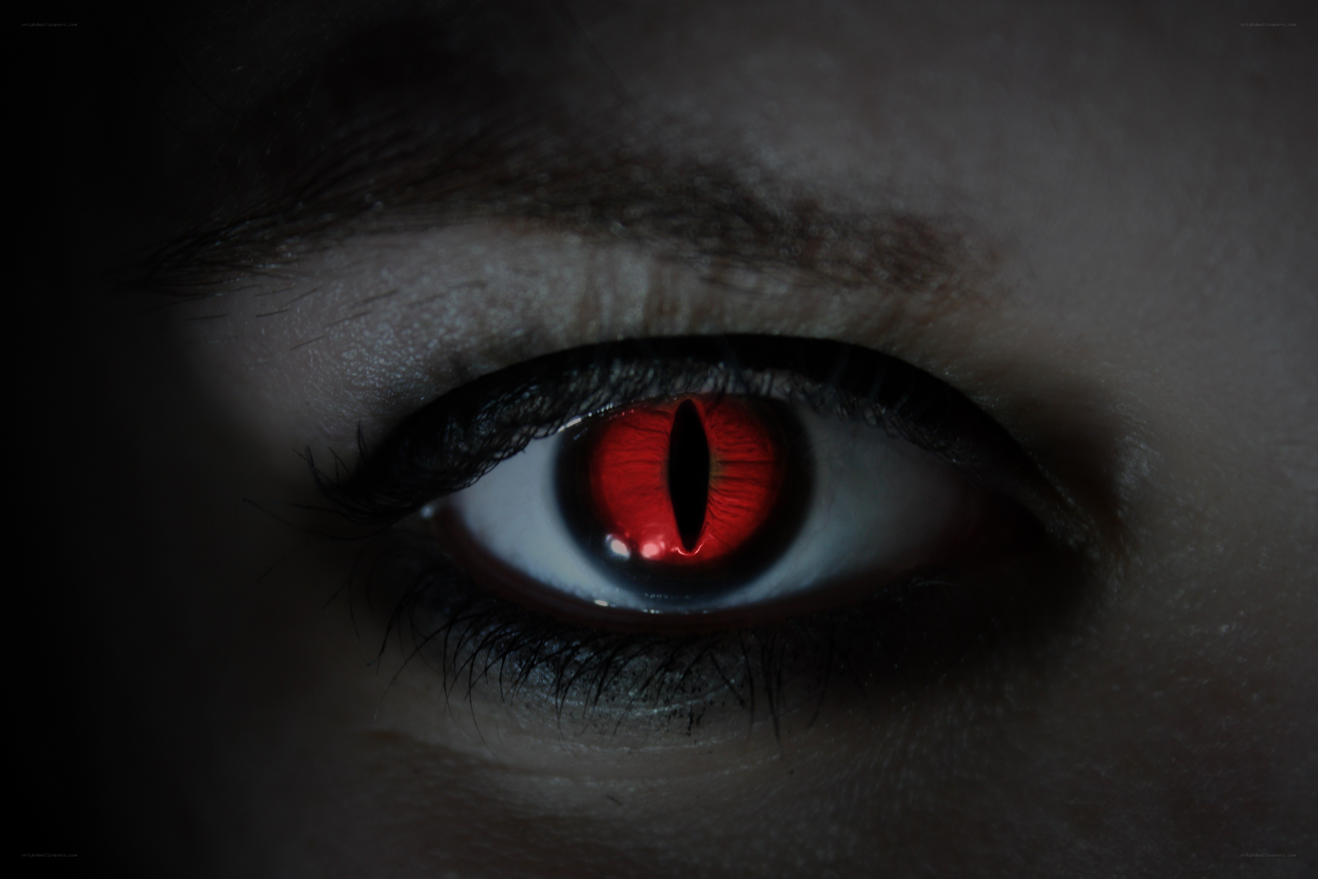 red eye close-up
