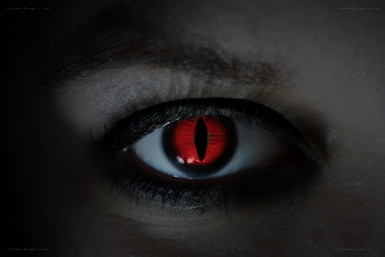 red eye close-up