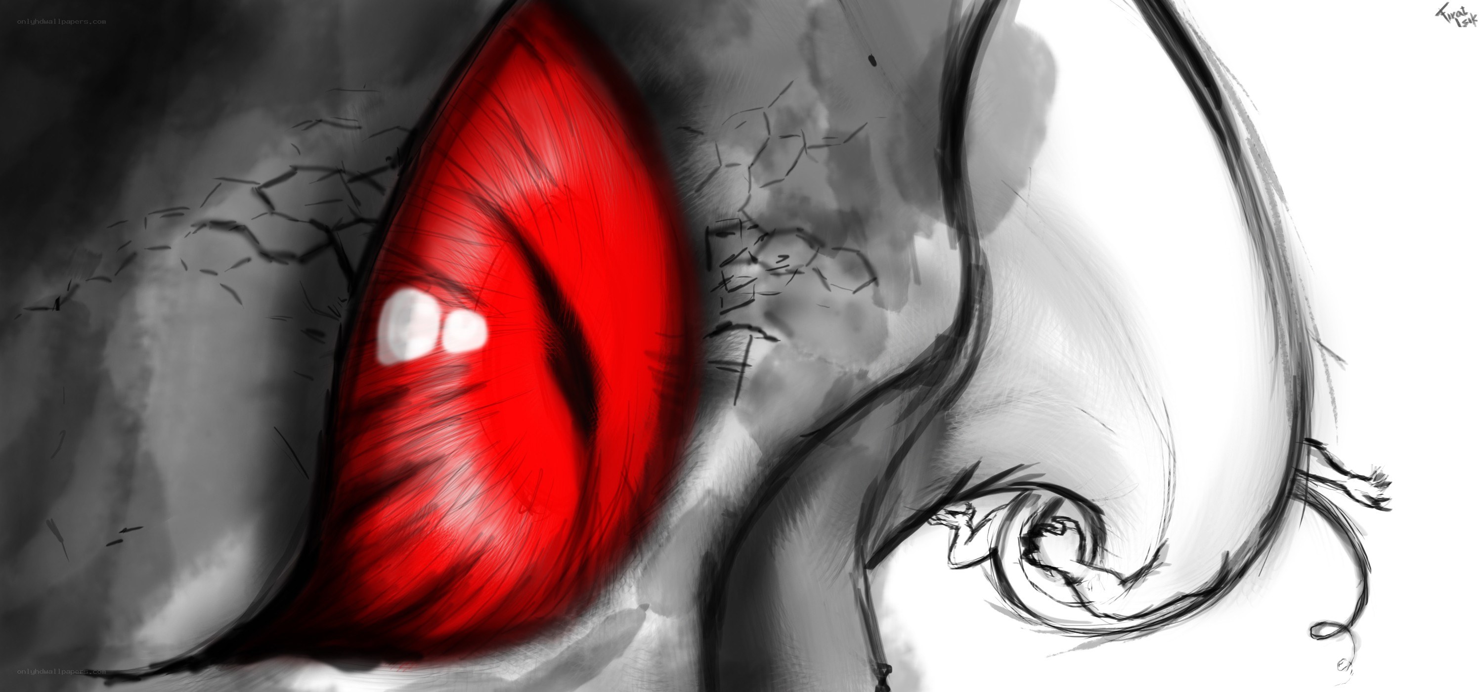 Red eye with cracked skin