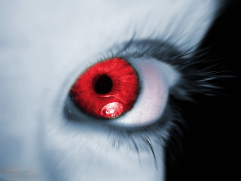 Red-eyed Animal Eye