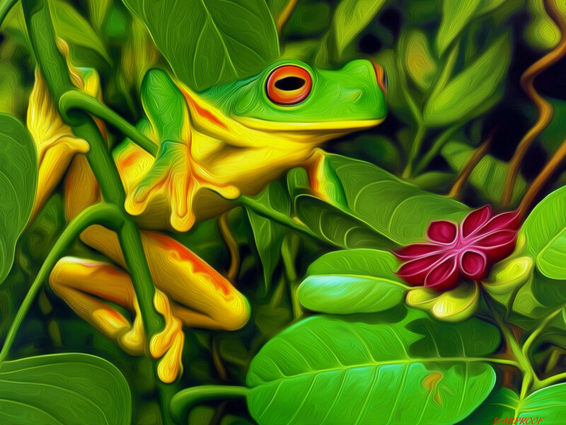 Red-eyed Tree Frog — Green, Vibrant, Digital Art