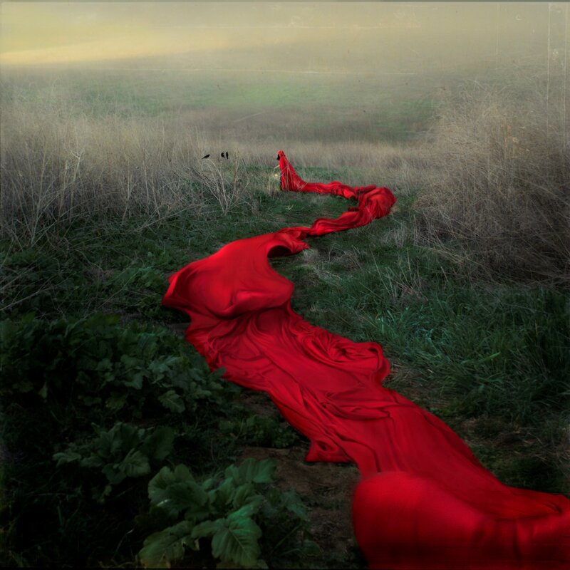 Red Fabric in Field