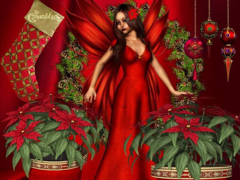 Red fairy with poinsettias