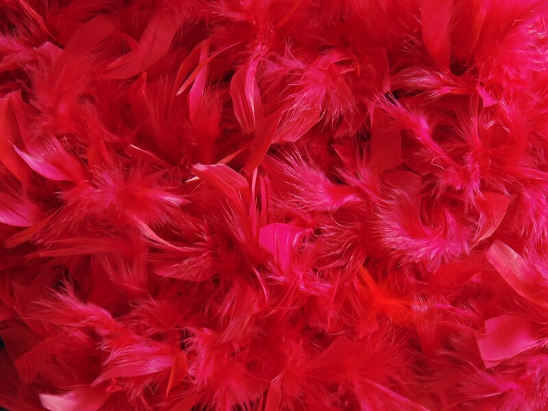 red feather boa texture
