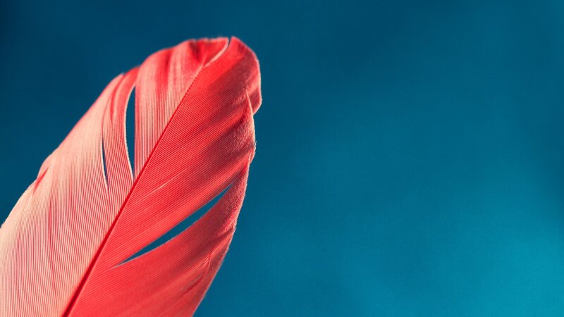 Red Feather