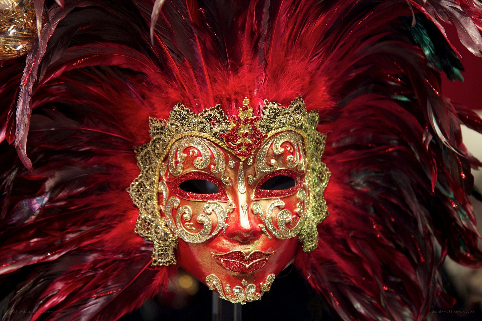 Red feathered masquerade mask