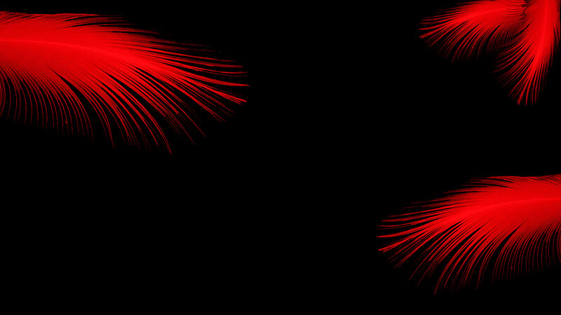 Red Feathers on Black