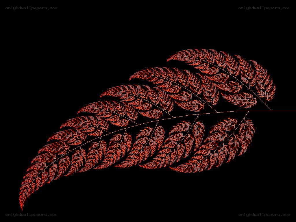 Red fern leaf on black background