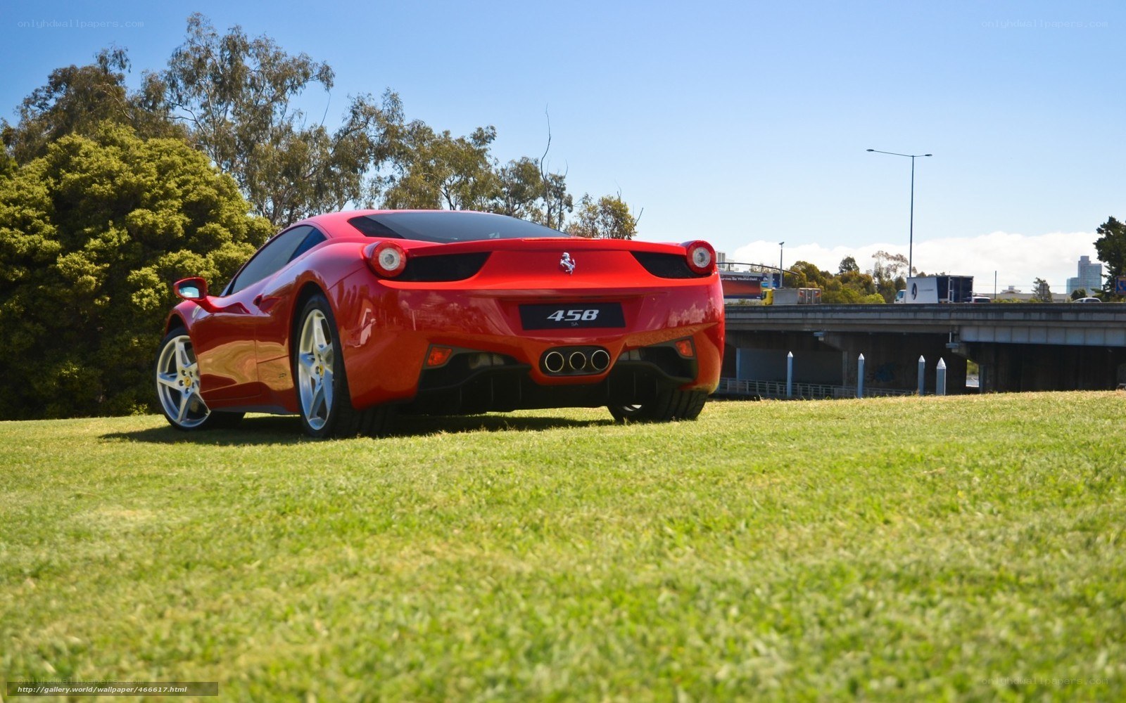 Red Ferrari 458 on grass