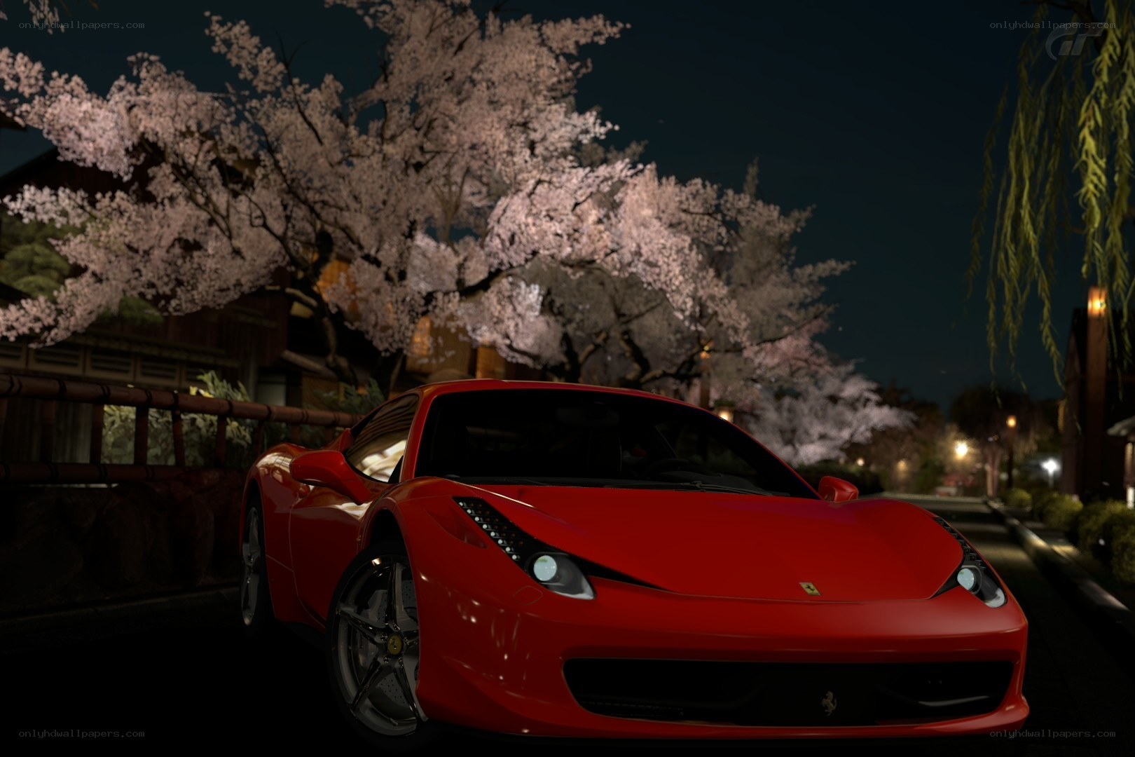 Red Ferrari at night under cherry blossoms