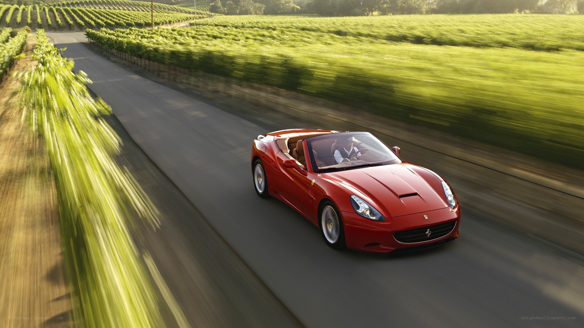Red Ferrari driving through vineyard