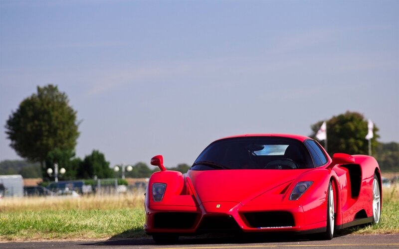 Red Ferrari Enzo — Calm, Afternoon, Photograph, Car, Grass, Tree