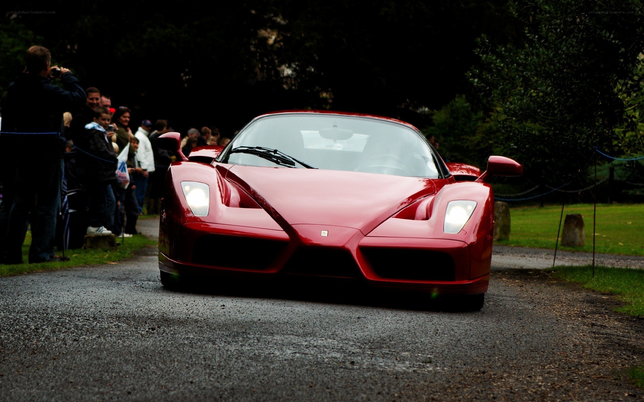 Red Ferrari Enzo on display