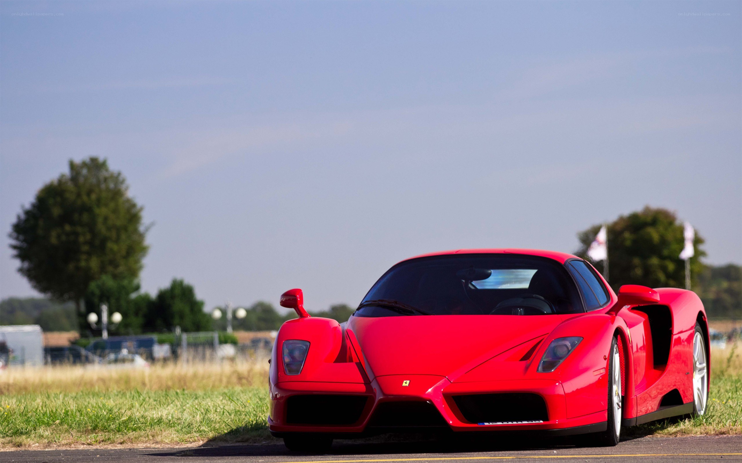 Red Ferrari Enzo on track