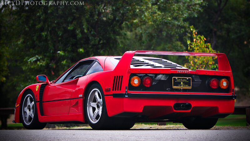 Red Ferrari F40 — Dramatic, Photograph, Trees