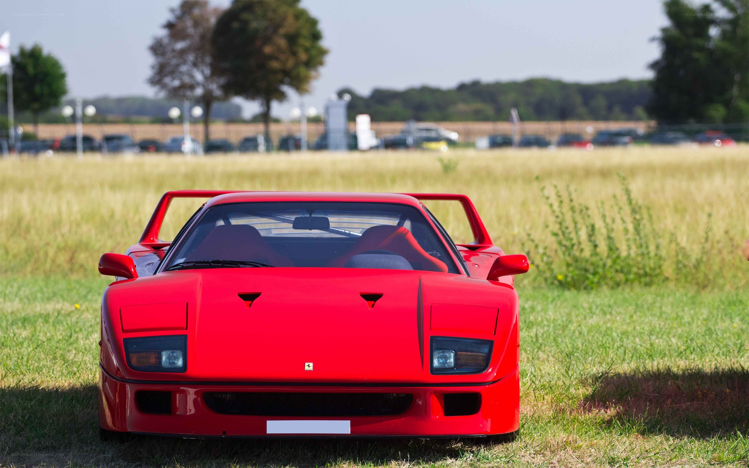 Red Ferrari F40 in a field