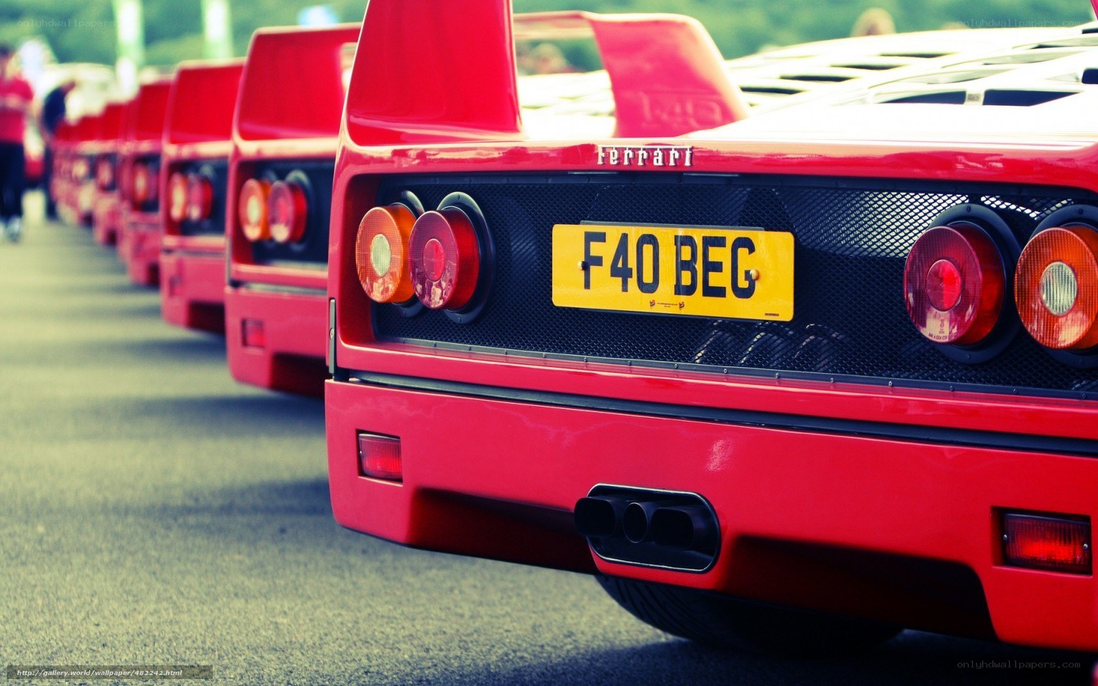 Red Ferrari F40 lineup