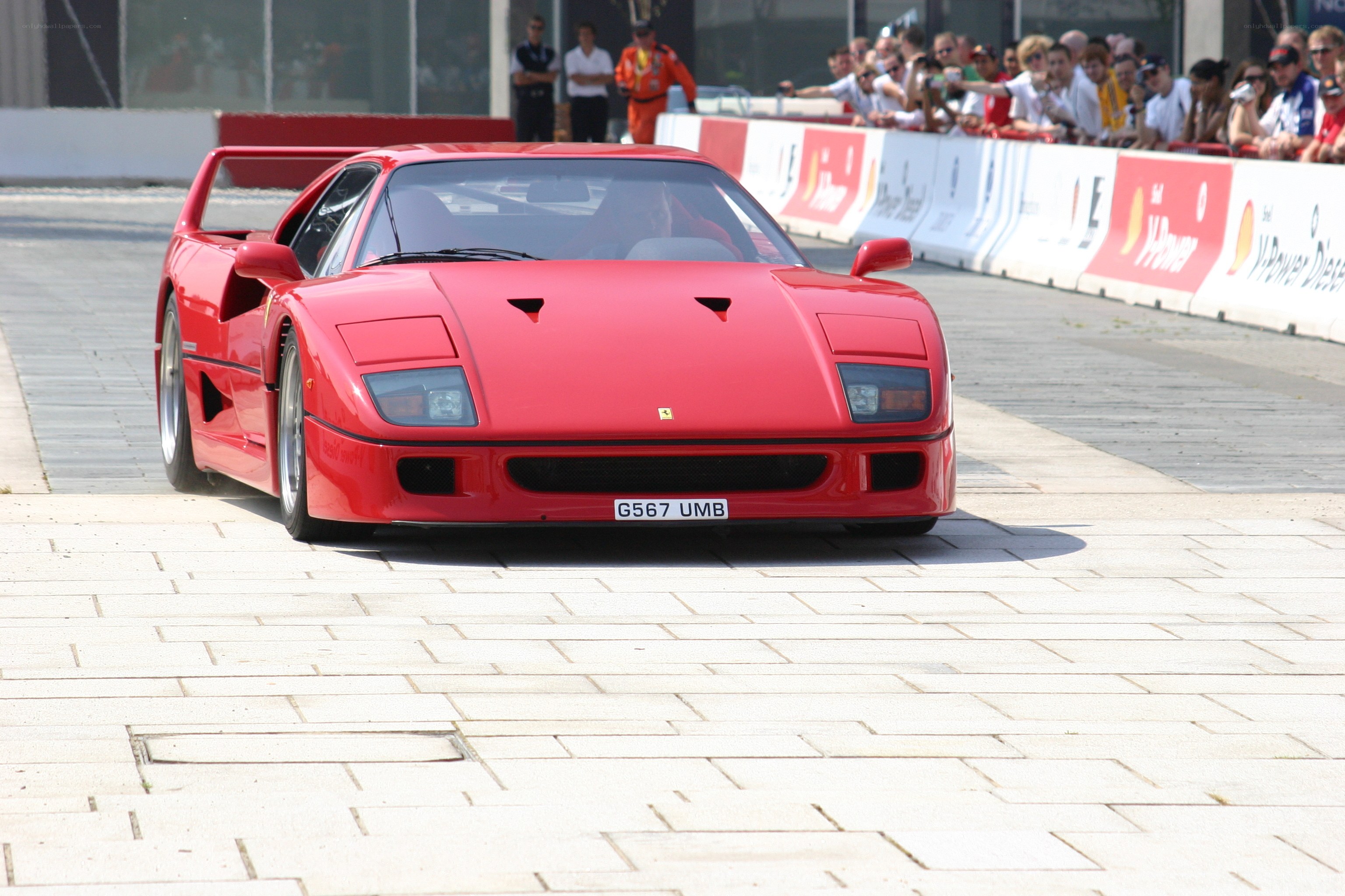 Red Ferrari F40 on display