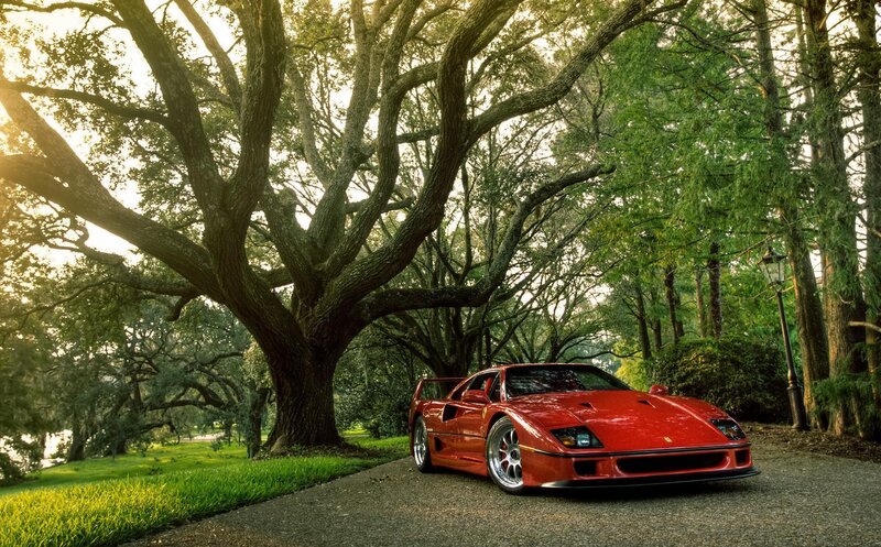 Red Ferrari F40 — Serene, Afternoon, Photograph, Tree, Gravel Path
