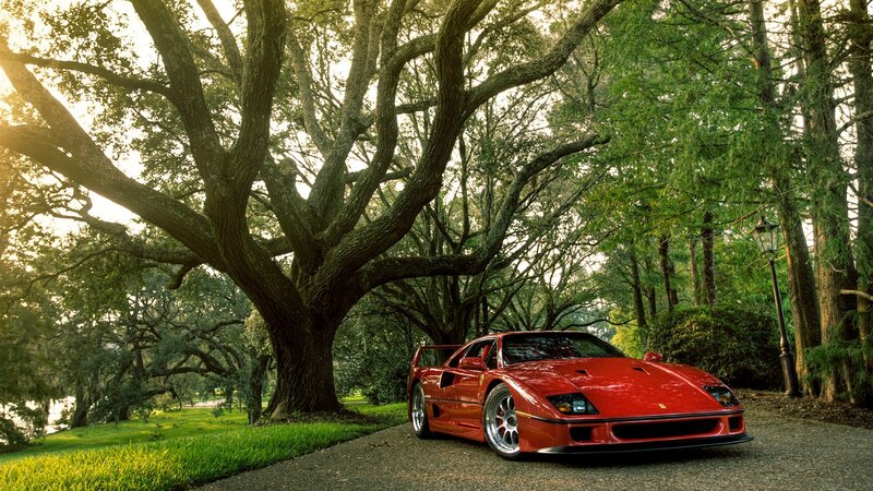 Red Ferrari F40 — Serene, Afternoon, Photograph, Tree, Road