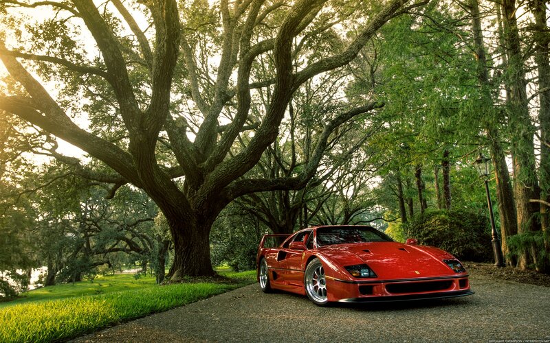 Red Ferrari F40 — Serene, Afternoon