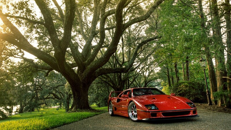 Red Ferrari F40 — Serene