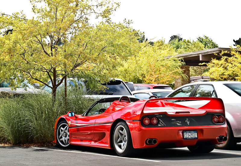 Red Ferrari F50 — Calm, Afternoon, Photograph, Car, Tree