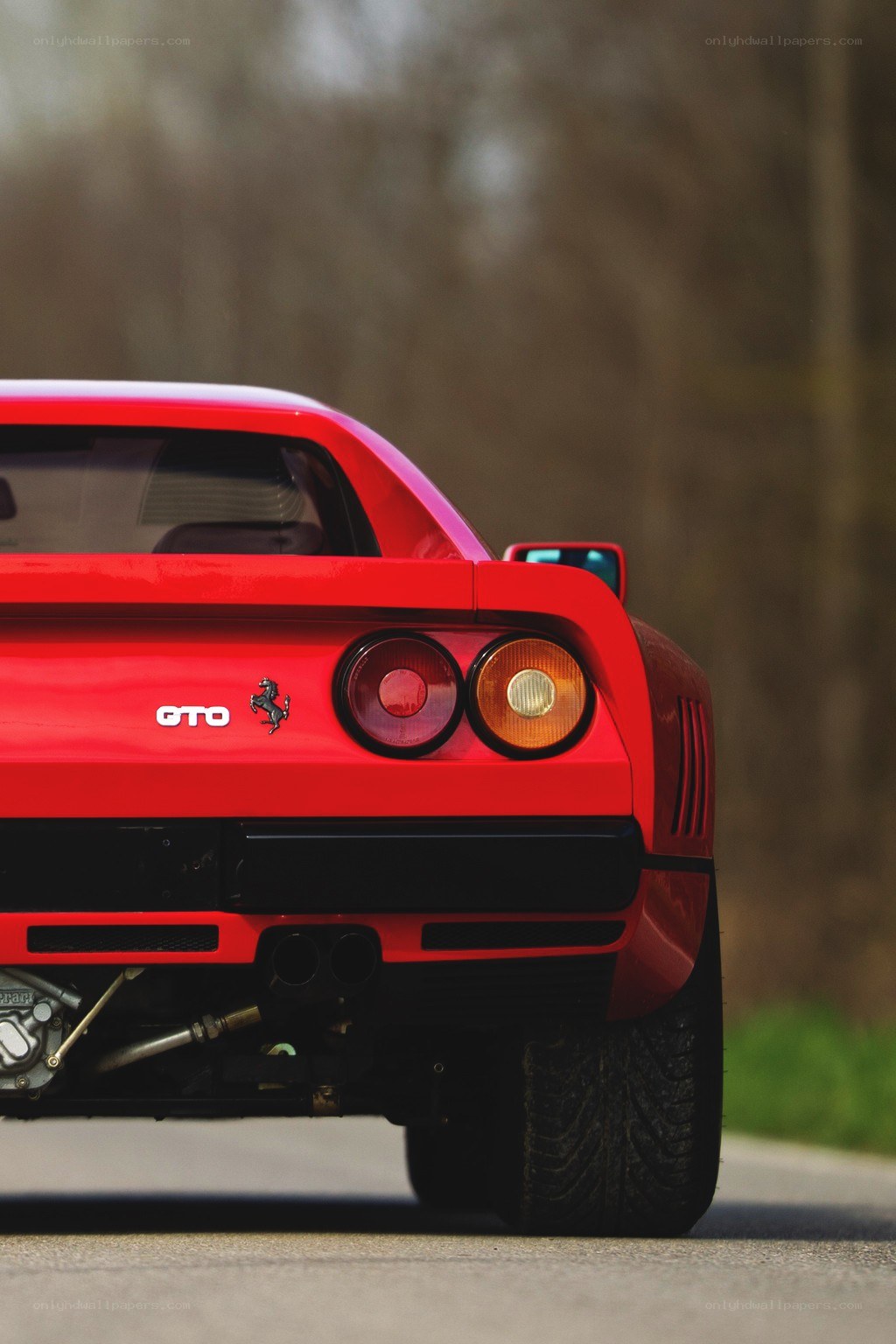 Red Ferrari GTO rear view