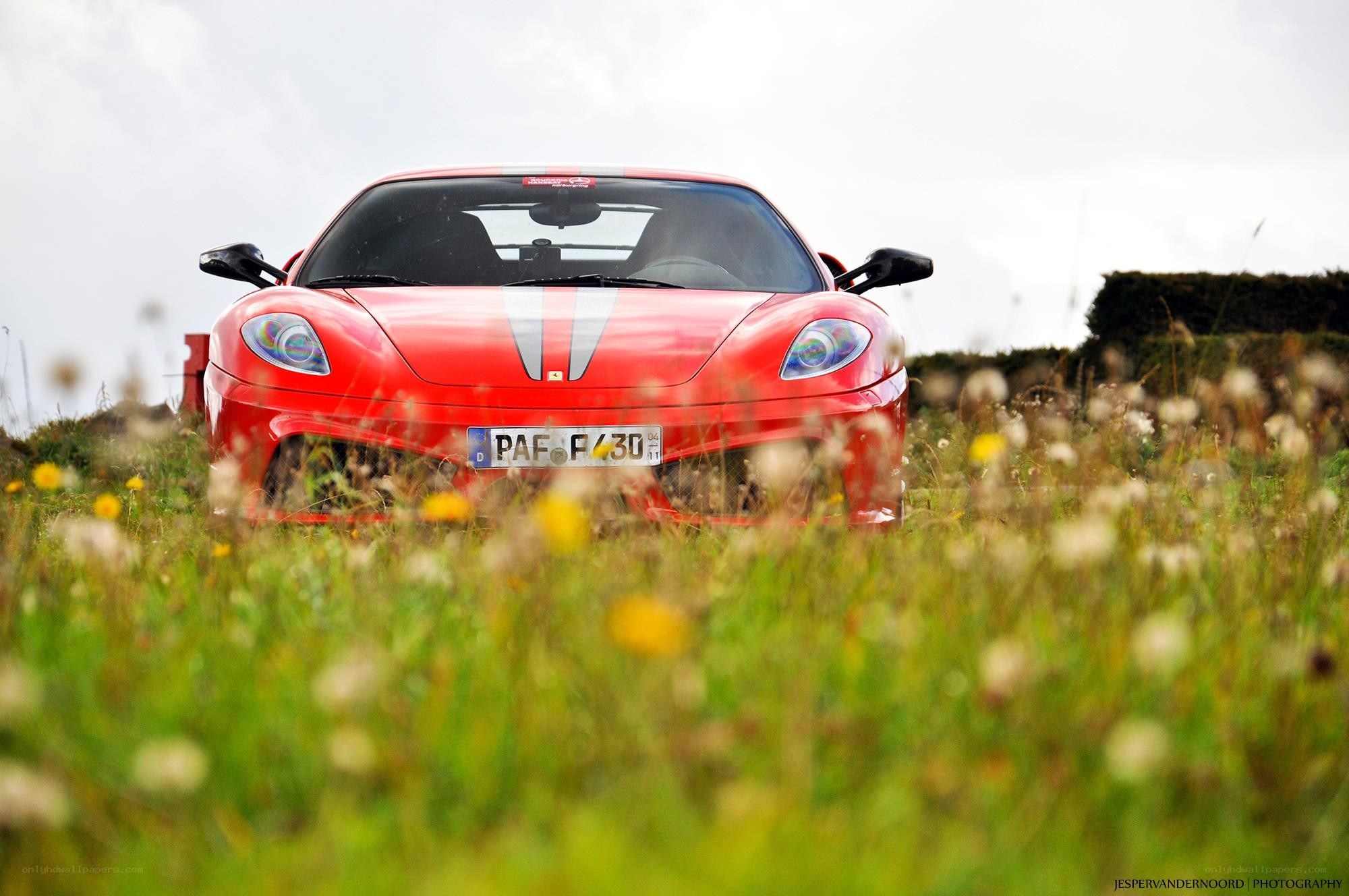 Red Ferrari in a field