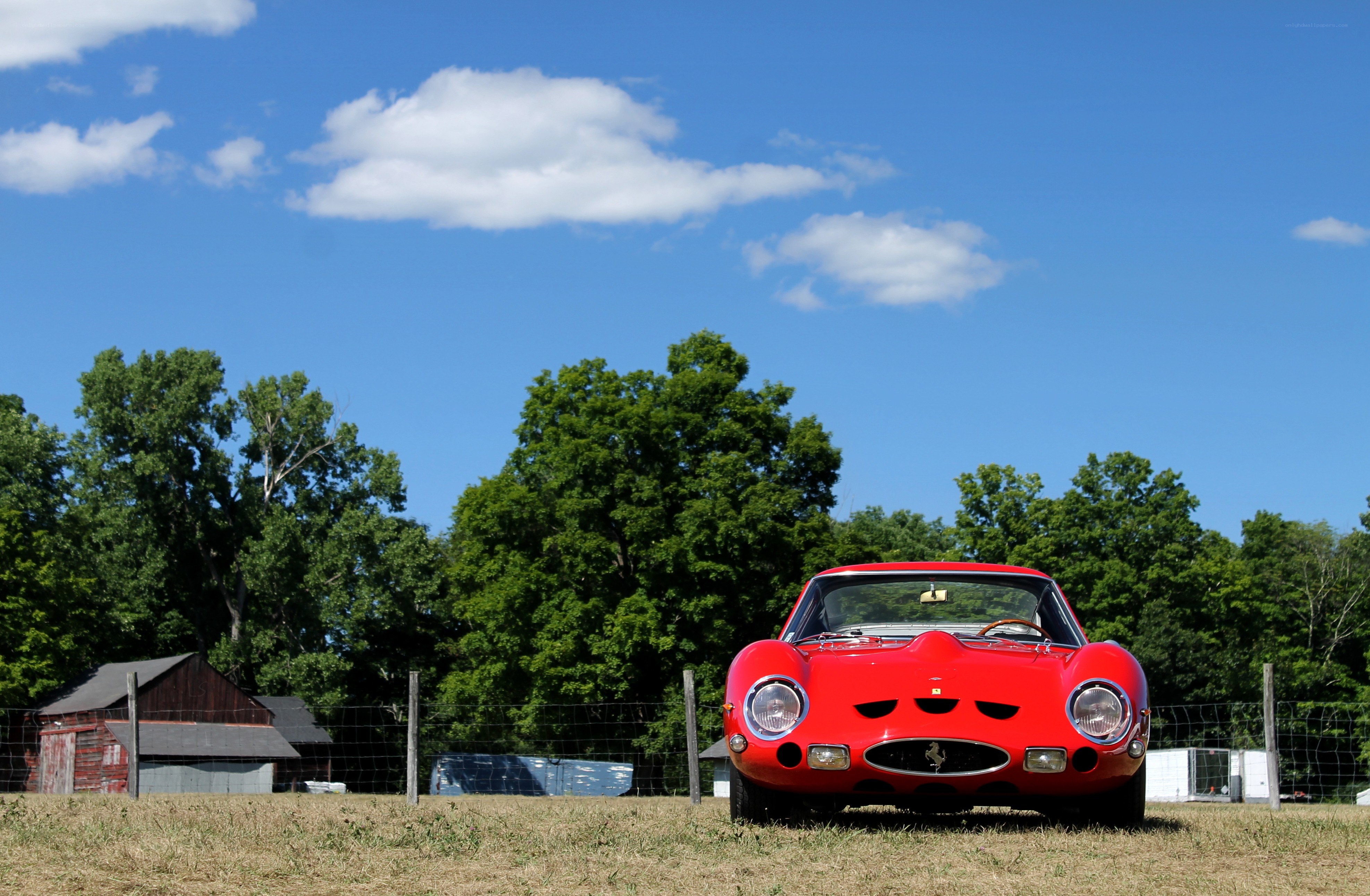 Red Ferrari in a field