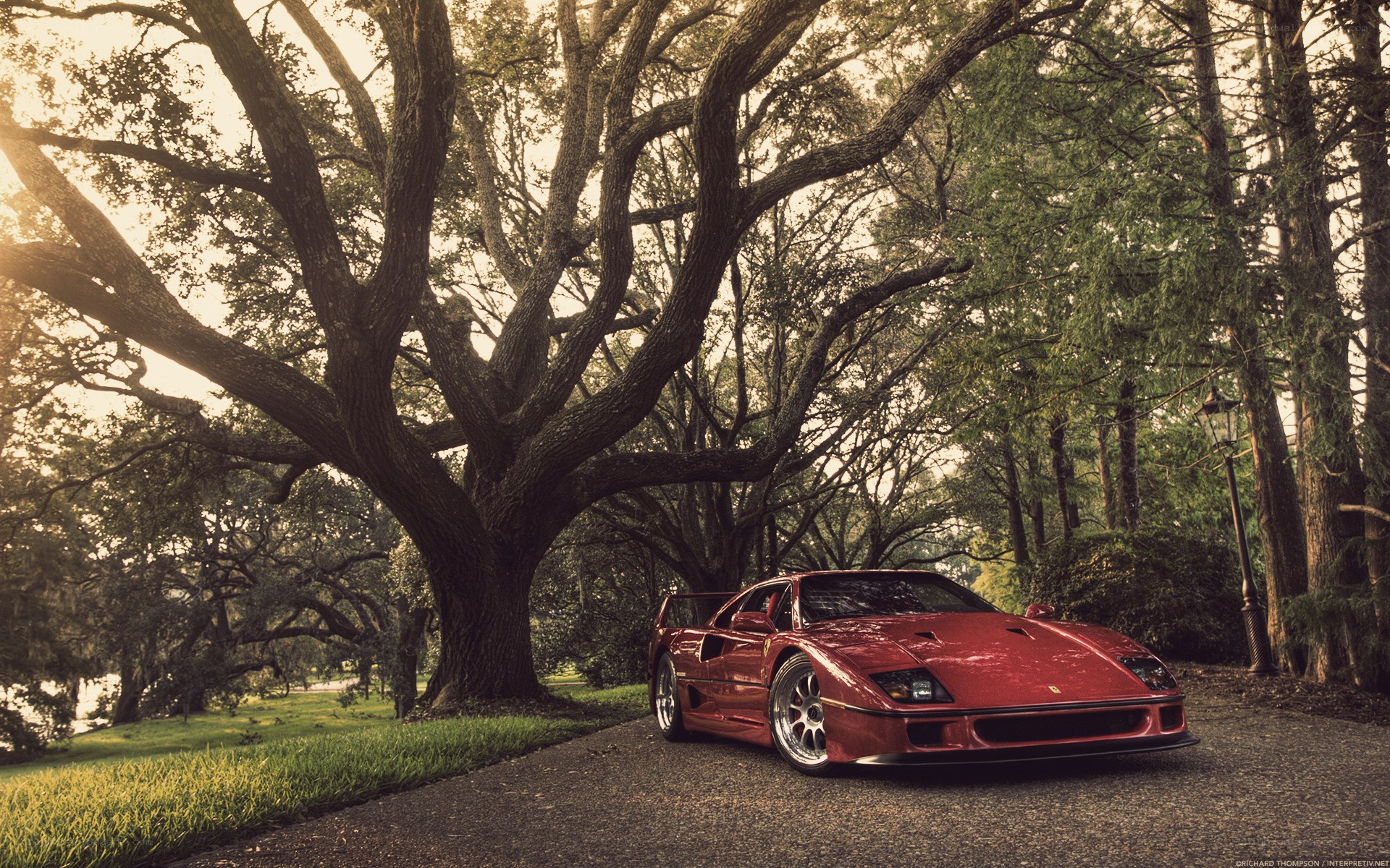 Red Ferrari in a park