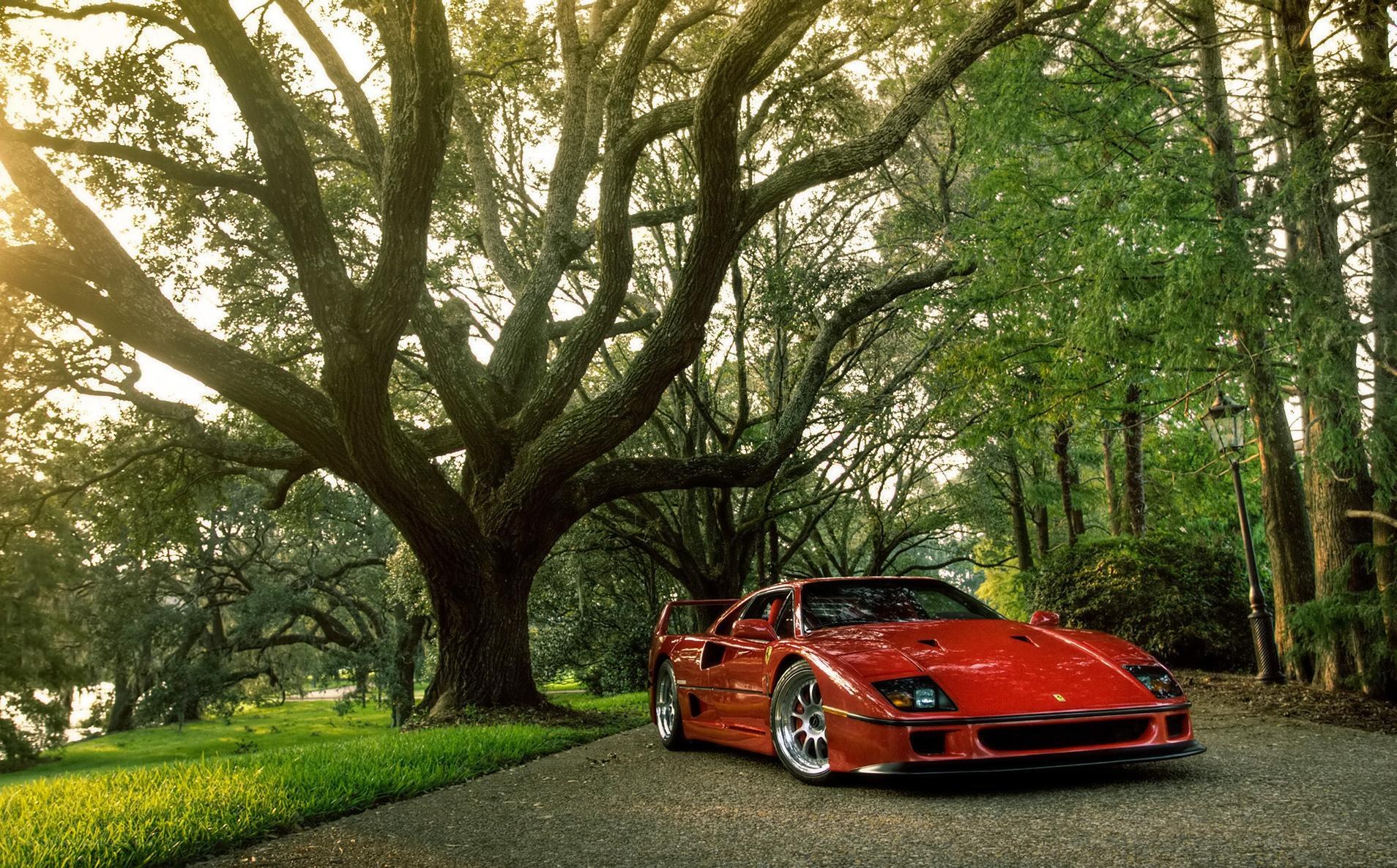 Red Ferrari in a park