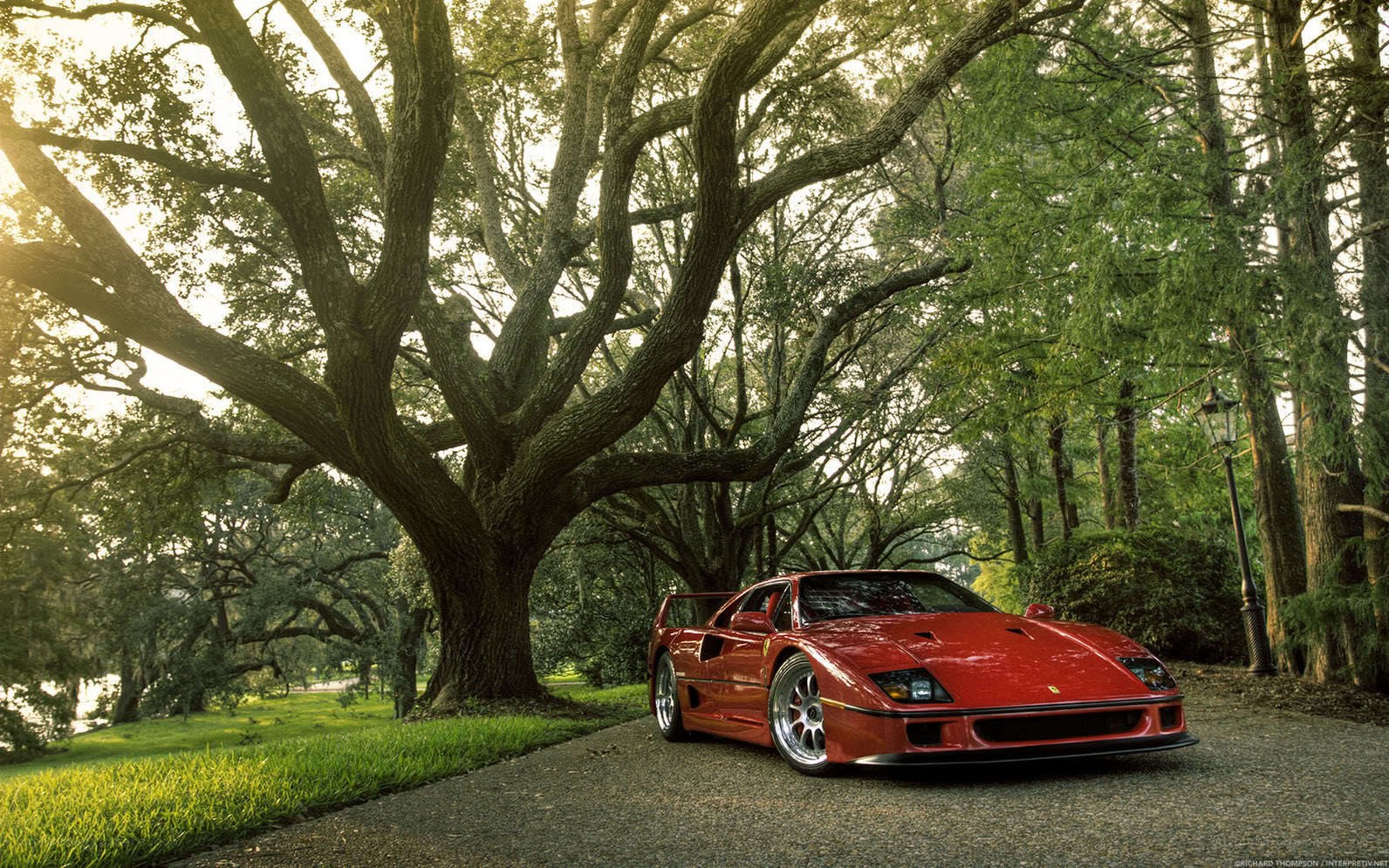 Red Ferrari in a park