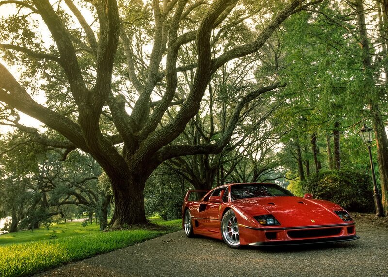 Red Ferrari in a park