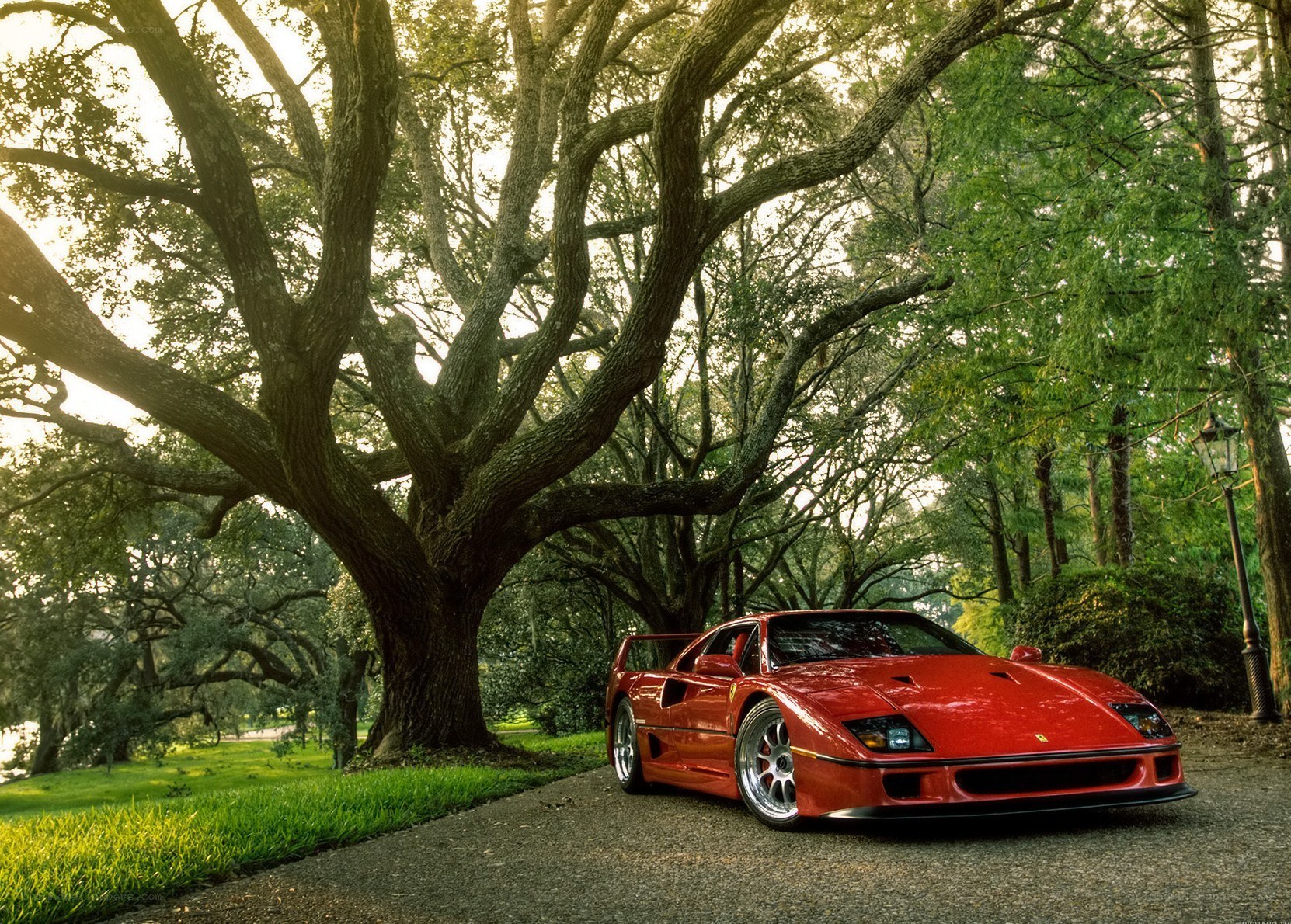 Red Ferrari in a park