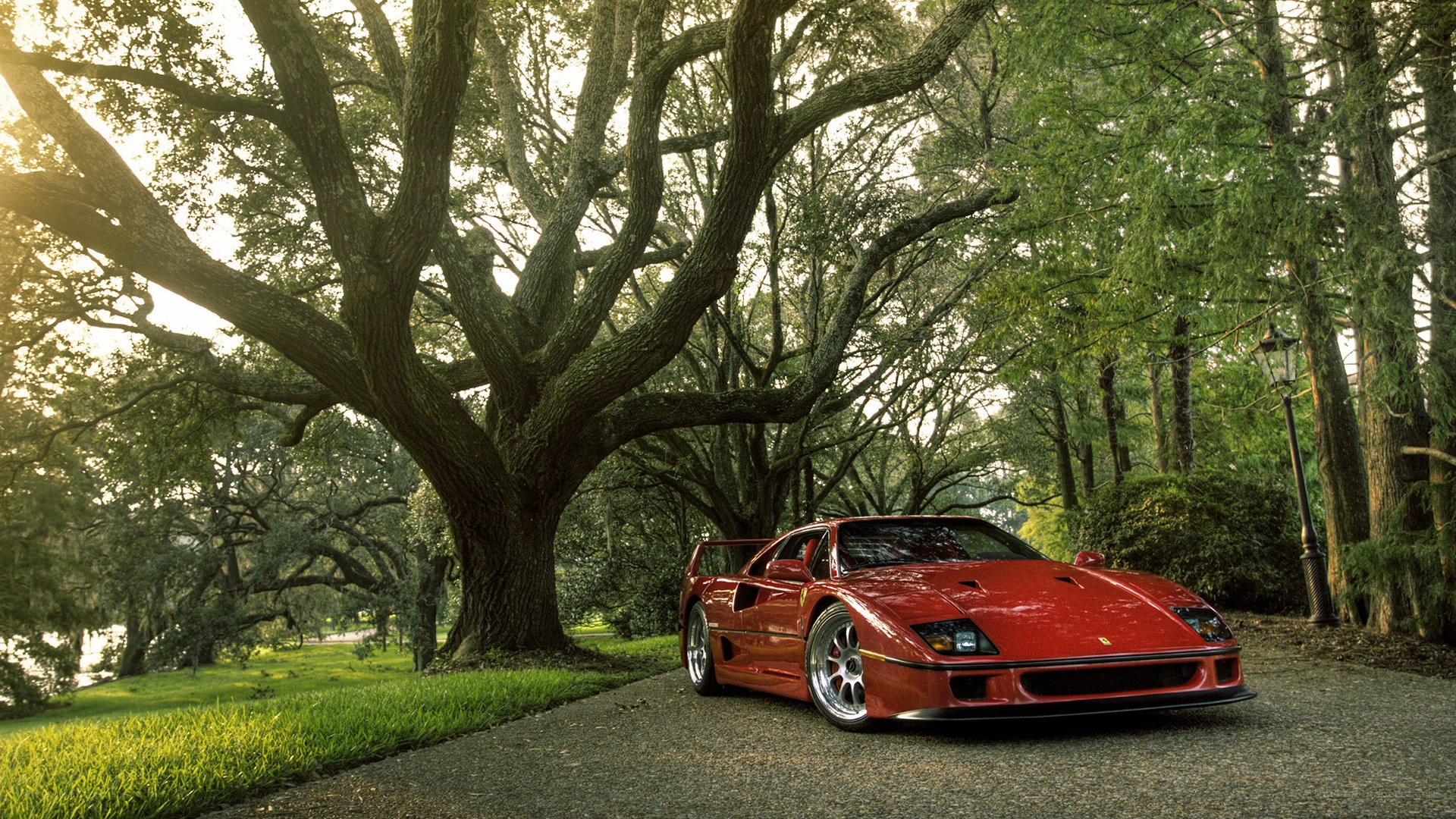 Red Ferrari in a park