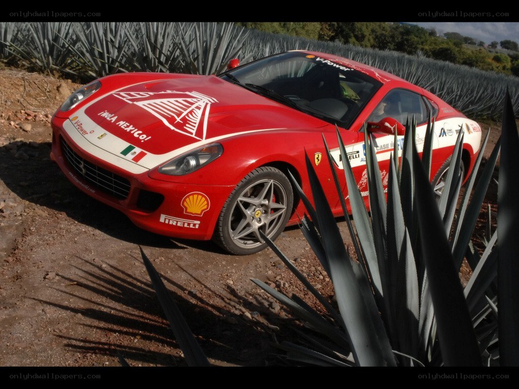 Red Ferrari in agave field