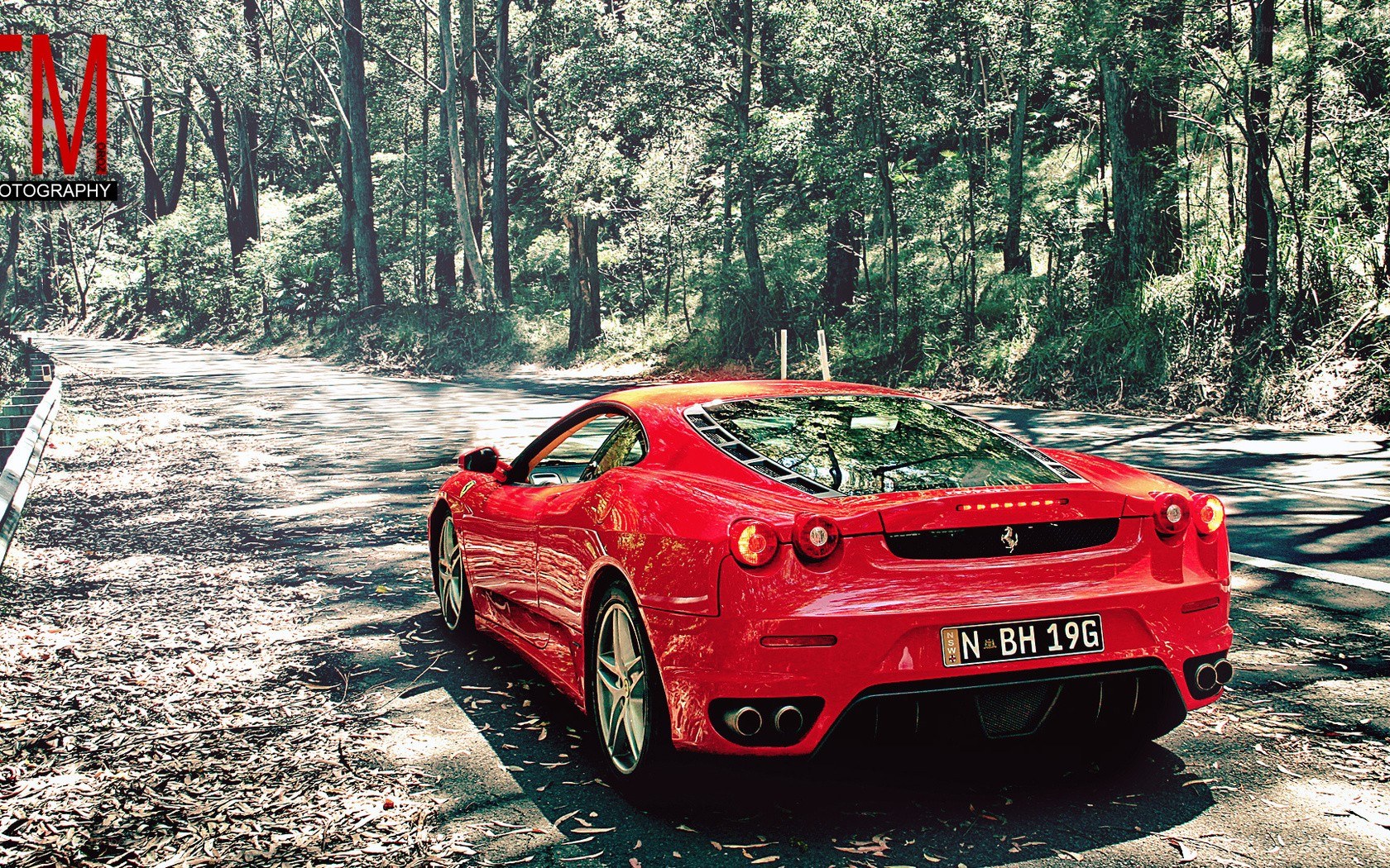 Red Ferrari in forest road