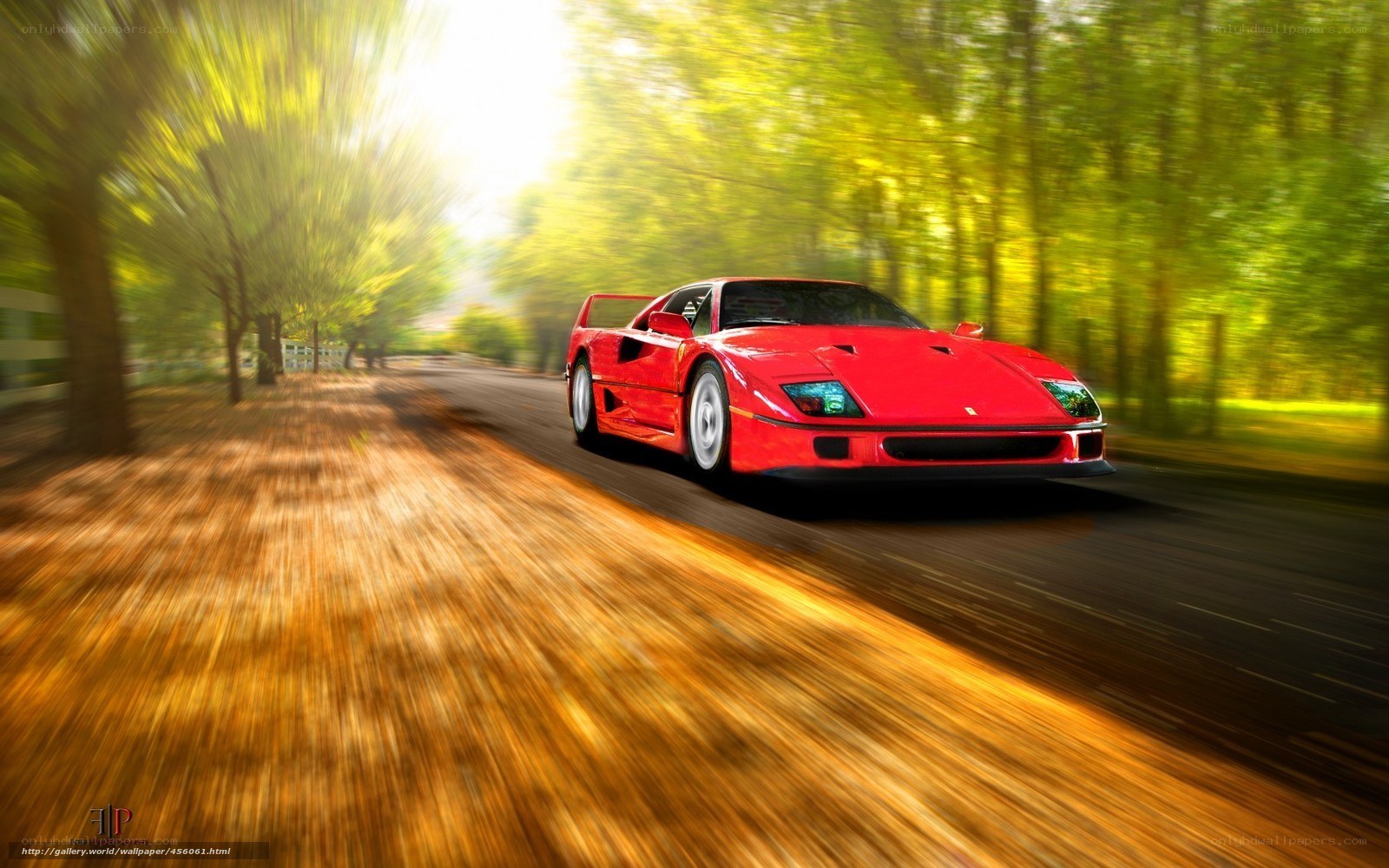 Red Ferrari on a forest road