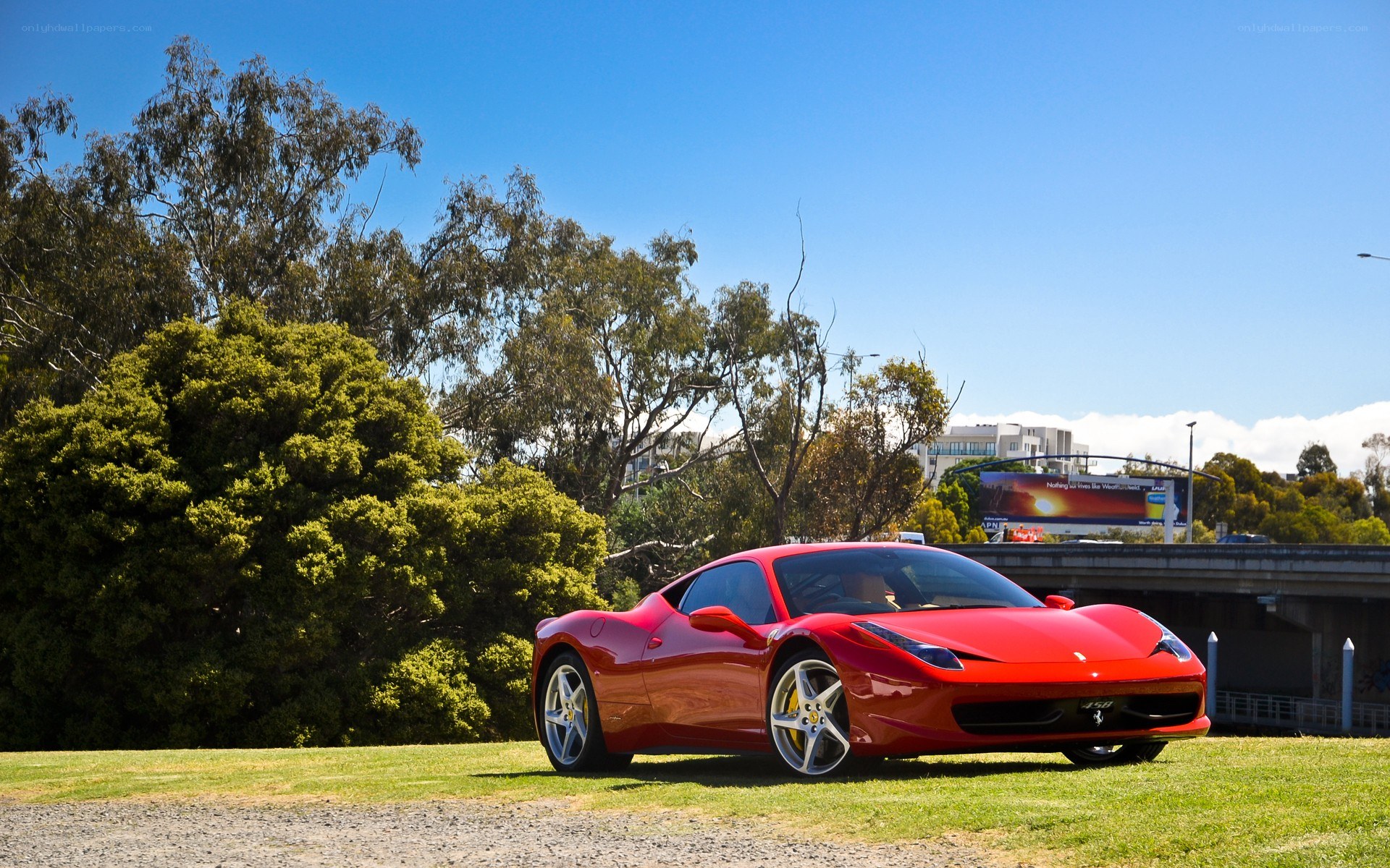Red Ferrari on a grassy field