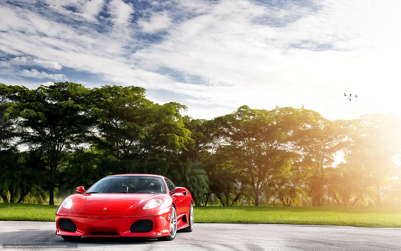 Red Ferrari on a sunny road